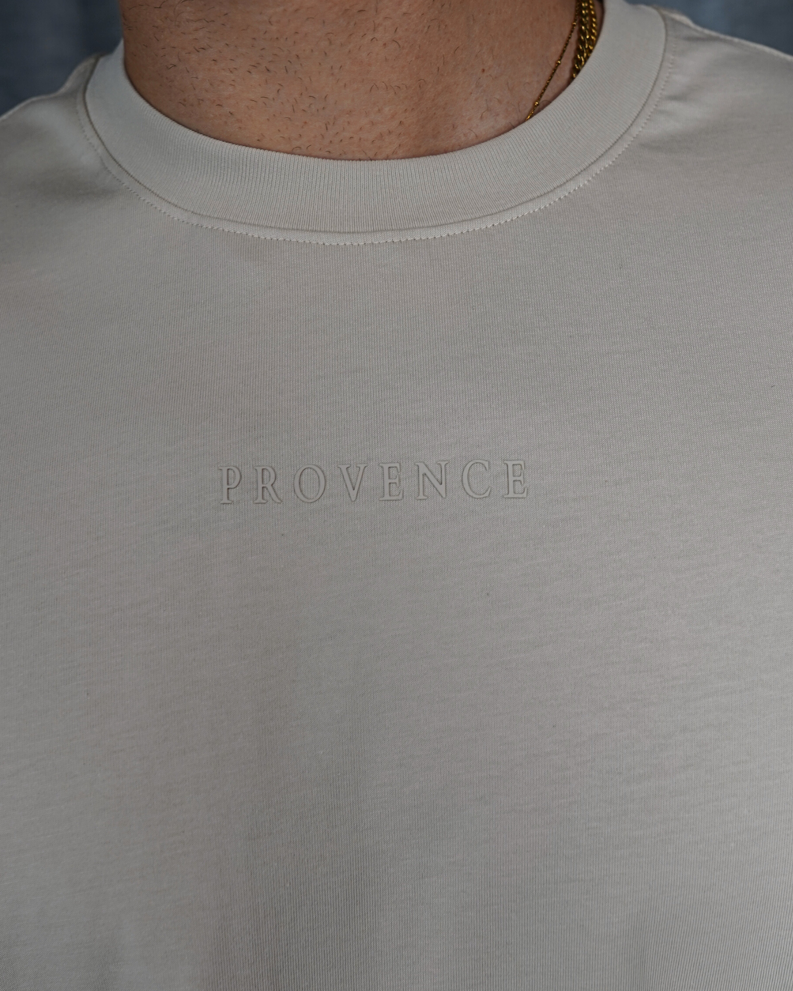 Mens Classic Logo T-Shirt Beige